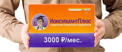 консультант плюс онлайн версия